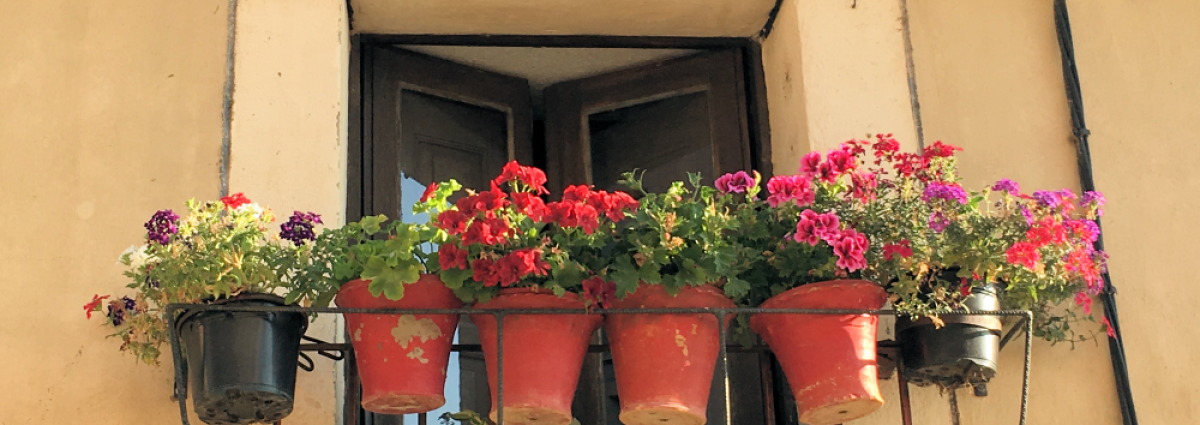 windowbox
